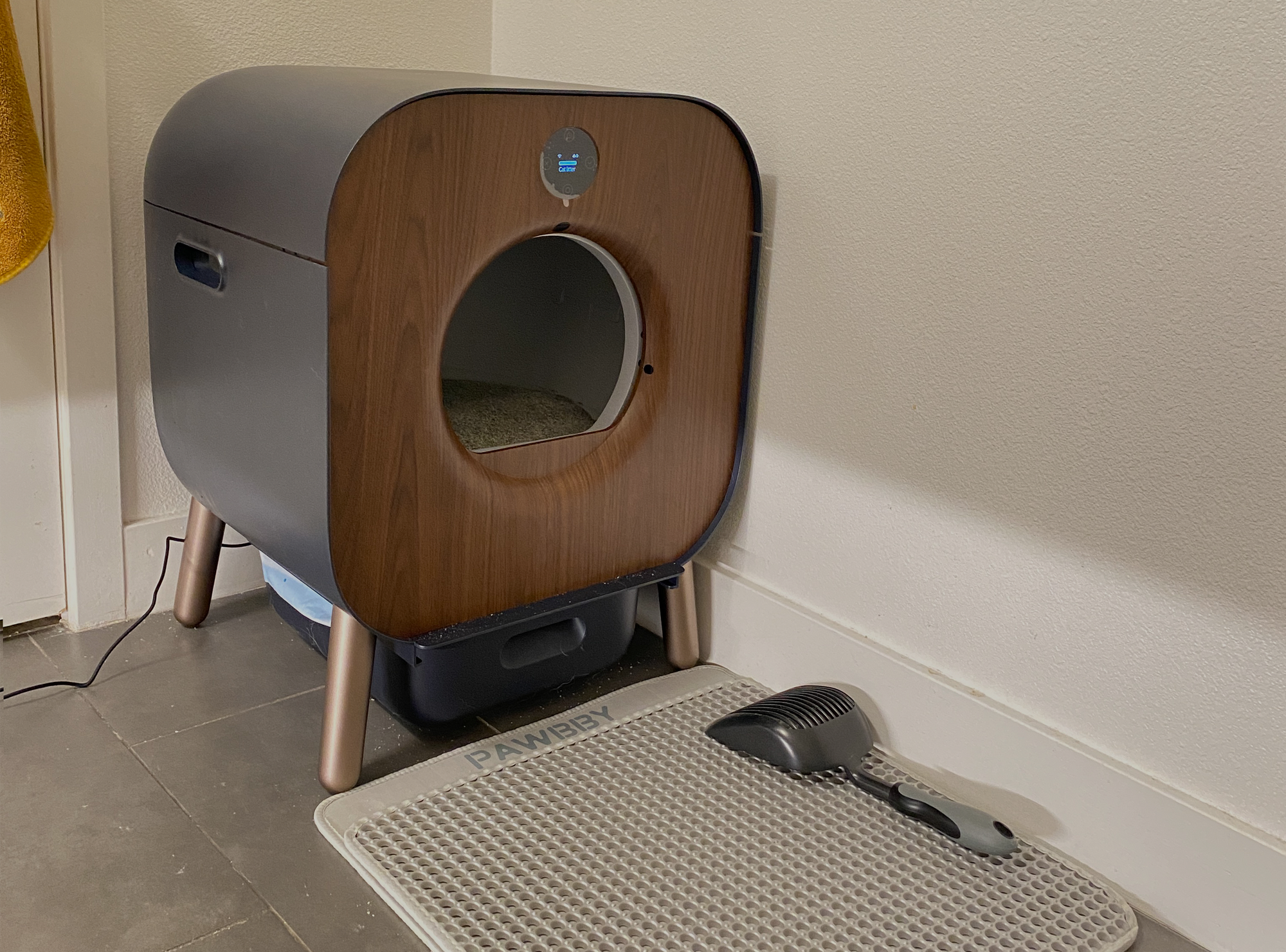 Why has PAWBBY been a Game-changer in My Life?