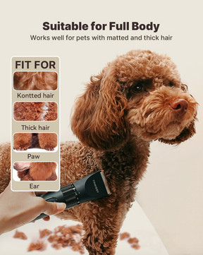 Dog grooming kit clearance for cockapoo